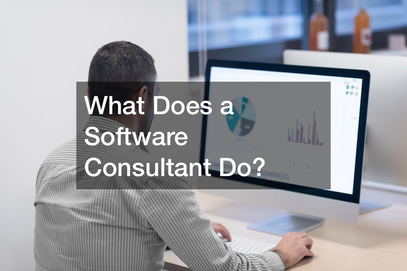 What Does a Software Consultant Do?